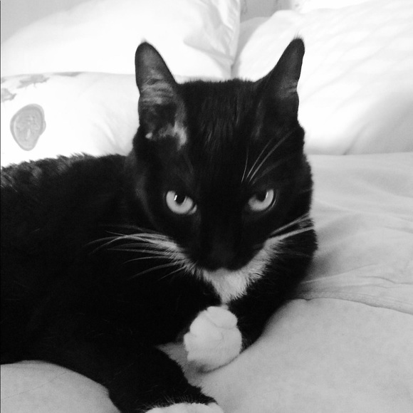 Meet your Posher, Sandra - Picture 1 of 1